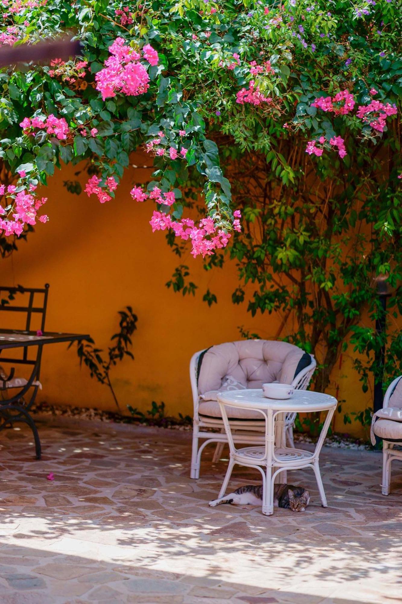 Il Piccolo Giardino Rooms & Breakfast ヴィッラシミーウス エクステリア 写真